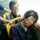 노브랜