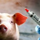 고기파마 이미지