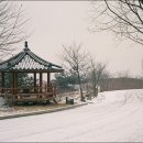 중앙경찰학교 이미지