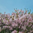 허브밸리(주차장 버스) 이미지