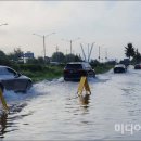 아암대로1 이미지