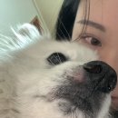 사가정로51길 (26) 이미지