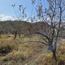 간성농장 이미지