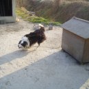 지영이네농장 이미지