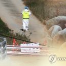 연돼지 이미지
