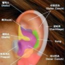 양군피어싱 이미지