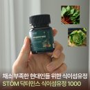 26년 네이버 넾다세일 안성훈 닥터민스 스톰 식이섬유정 1000 솔직후기