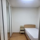 뜨레모아 이미지