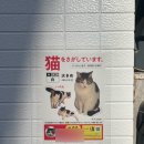 (주)대승도고로얄호텔 | 2023 : 東京