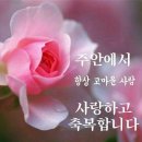 샬롬