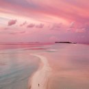 시간여행자 이미지