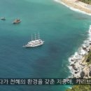 카니발코퍼레이션
