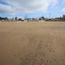 의항해수욕장 입구 이미지