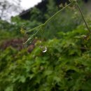 강진 소소원 이미지