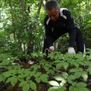 개풍농장 이미지