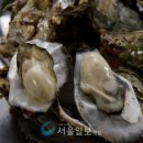석화 이미지