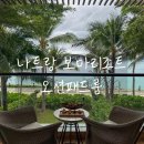 나트랑 보마리조트 오션패드룸 2층 후기, 바다뷰 테라스와 수영장 만족