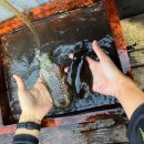 장신축산 이미지