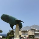 써지코 | 오키나와 4박5일 아이랑 태교여행 2일차 - 츄라우미 수족관, 모토부 맛집, 오리온 호텔 모토부 리조트...