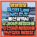 주전동어촌계(주전어촌체험마을) | 사진 한 컷 울산광역시 울산 우가어촌체험마을 &amp; 주전어촌체험마을 맨손잡이 체험장(+위치 안내센터...