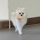 마인드몽 유치원 이미지