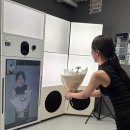 인생사진 - 송파구 올림픽로32길 22-13 | [신사역 셀프사진관] 퍼즈포즈 인생사진 건진 후기 - 컬러 프로필사진 포즈 꿀팁