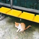 버스정류장_동신대학교 이미지