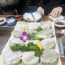 문어와 회나라