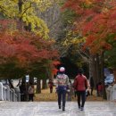 선운산민박