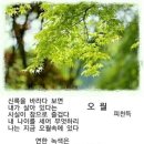 오월의발코니 네이버블로그