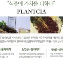 에스와이제이디