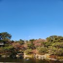 서부동공원 이미지