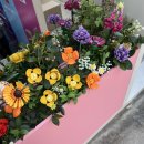 여주-1028 | 철들지마 레고들어, 성수동 레고 팝업!