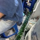 반포대로26길 75 이미지