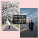 부산 웨딩촬영 야외스냅 &#39;팀포토&#39; 작가님 촬영후기(촬영 셀프드레스 판매중)