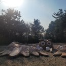 제황산공원(제황산부엉이) | 내돈내산) 부엉이공원? 대왕부엉이를 만난 제황산 공원 방문 후기