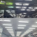 행운전기조명