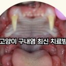 앙리동물병원 이미지