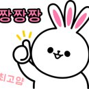 이즈와이솔루션 이미지