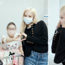 로제