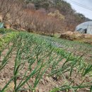 두메유기농원 이미지