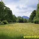 (주)로맨틱유로 이미지