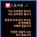 커피(coffee) 이미지