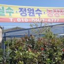 진도꽃화원