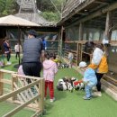 휘바핀란드위드플레이정글 이미지