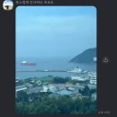 식껍 진도점 | 7월 셋째 주_그래도 바다는 한 번 들어갔다_제주살이 7