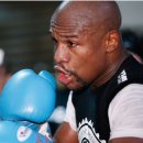 복싱대장 이미지