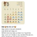 부산 가덕도 수제버거 1966정원 천성항점 솔직후기