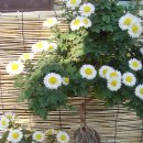 연암축산 이미지