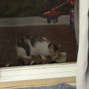 CU 덕적도점 | 덕적도 펜션 서포리 스카이뷰 클래식 후기